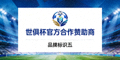 世俱杯官方合作赞助商品牌标识五
